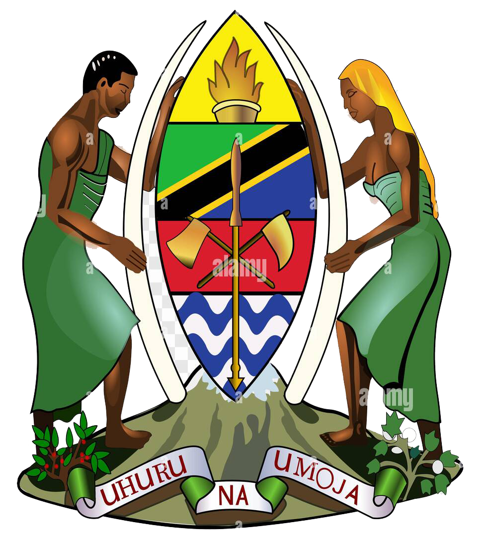 Tanzania Flag
